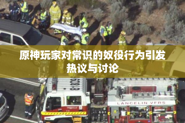 原神玩家对常识的奴役行为引发热议与讨论