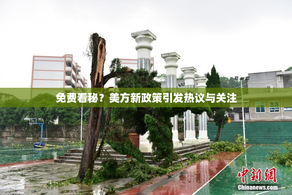 免费看秘？美方新政策引发热议与关注