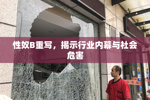 性奴B重写，揭示行业内幕与社会危害