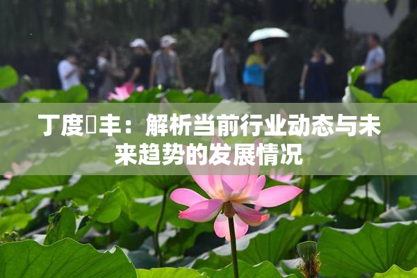 丁度巜丰：解析当前行业动态与未来趋势的发展情况