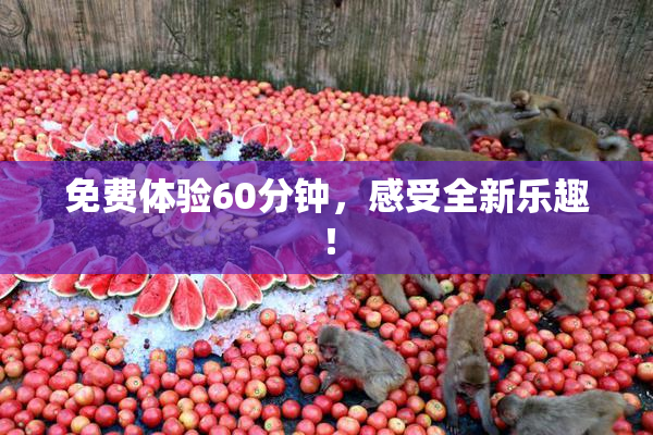 免费体验60分钟，感受全新乐趣！