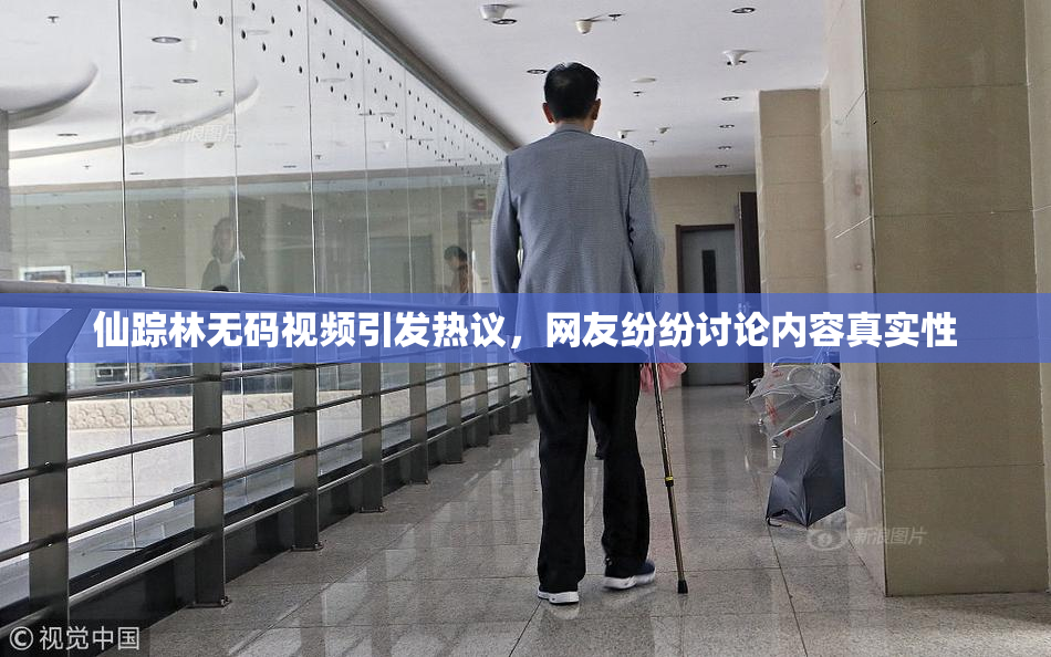 仙踪林无码视频引发热议，网友纷纷讨论内容真实性