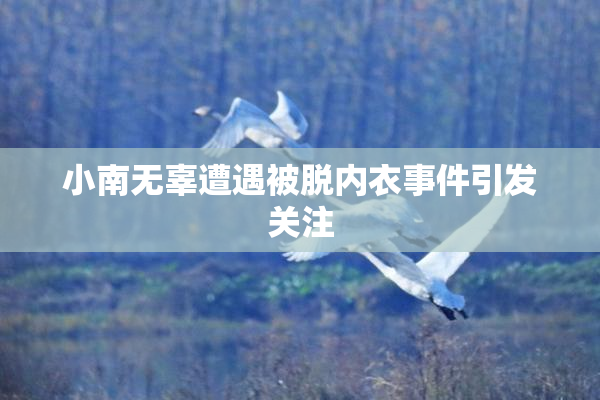 小南无辜遭遇被脱内衣事件引发关注