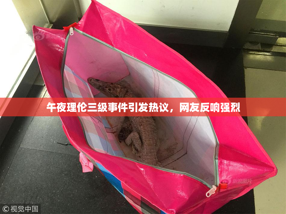 午夜理伦三级事件引发热议，网友反响强烈