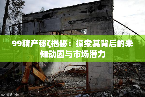 99精产秘ζ揭秘：探索其背后的未知动因与市场潜力