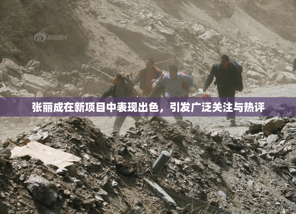 张丽成在新项目中表现出色，引发广泛关注与热评