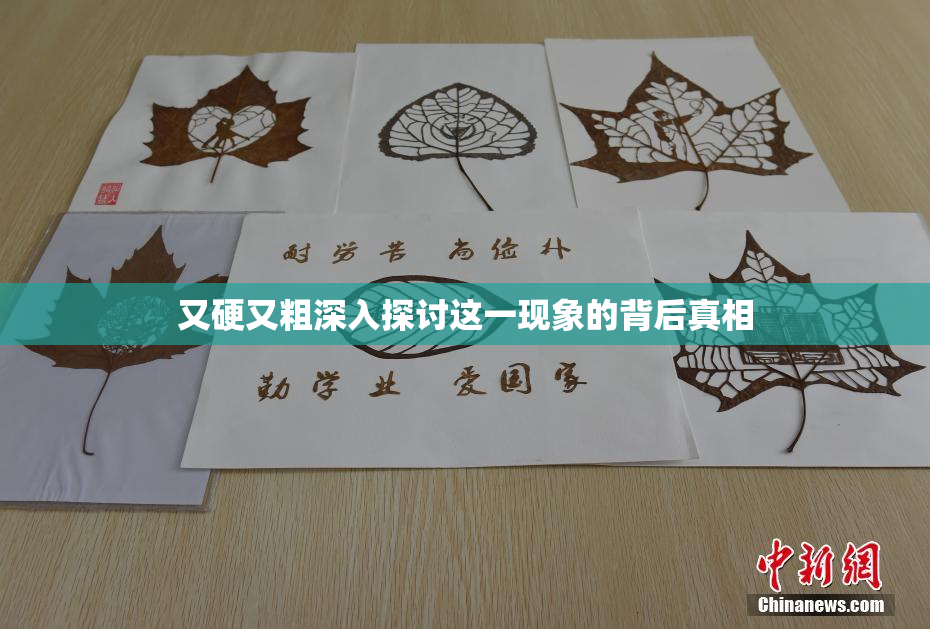 又硬又粗深入探讨这一现象的背后真相