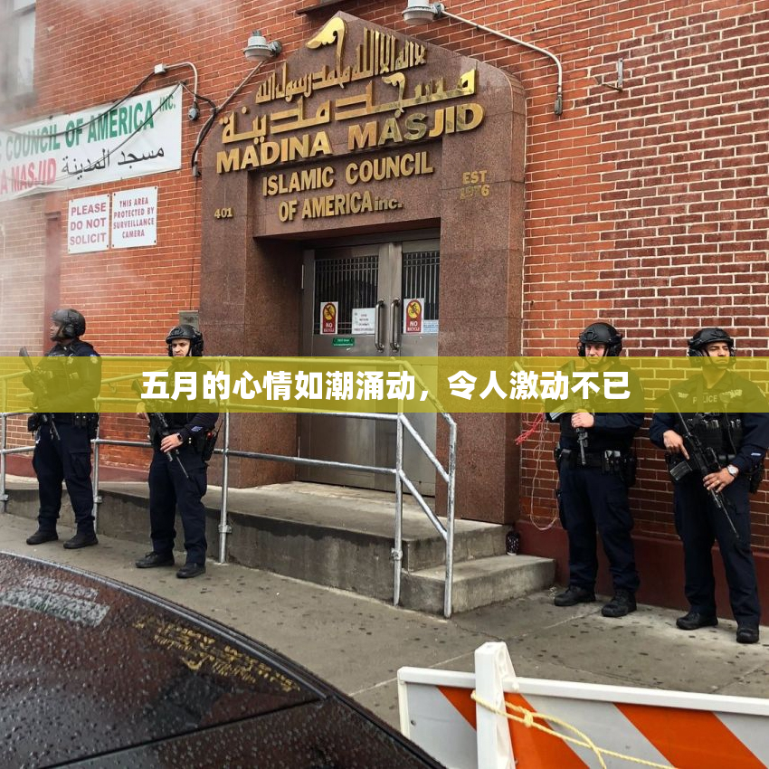 五月的心情如潮涌动，令人激动不已