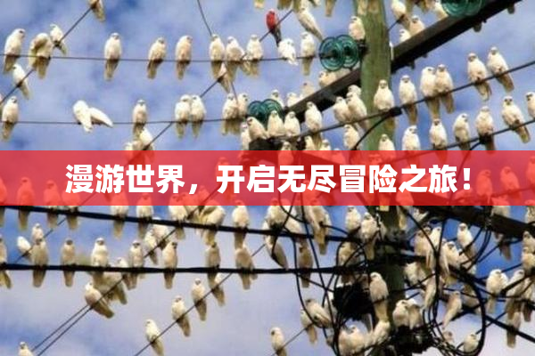 漫游世界，开启无尽冒险之旅！