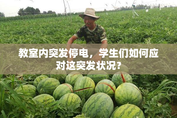 教室内突发停电，学生们如何应对这突发状况？