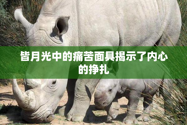 皆月光中的痛苦面具揭示了内心的挣扎
