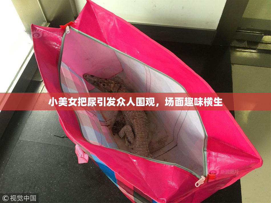 小美女把尿引发众人围观，场面趣味横生