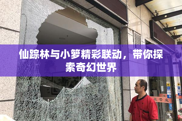 仙踪林与小箩精彩联动，带你探索奇幻世界