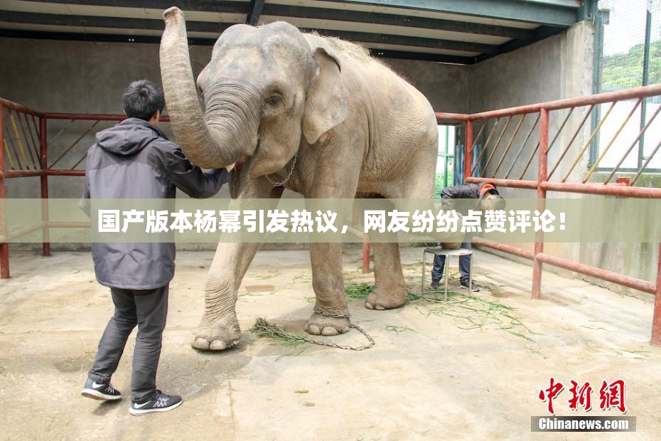 国产版本杨幂引发热议，网友纷纷点赞评论！