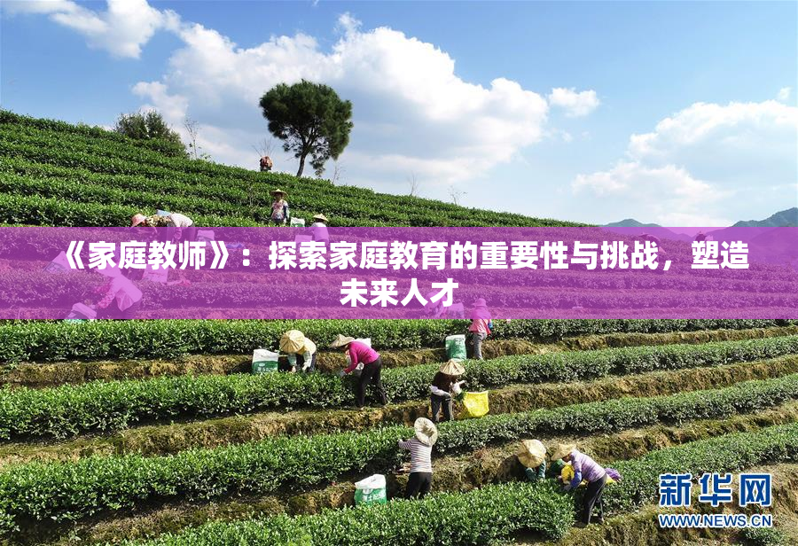 《家庭教师》：探索家庭教育的重要性与挑战，塑造未来人才