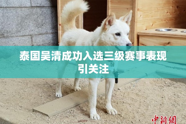 泰国吴清成功入选三级赛事表现引关注