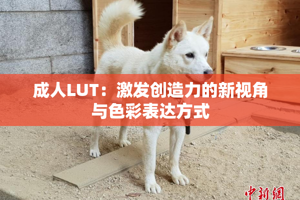 成人LUT：激发创造力的新视角与色彩表达方式
