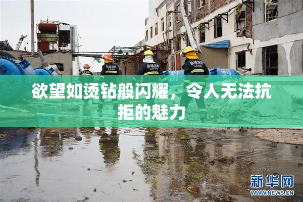 欲望如烫钻般闪耀，令人无法抗拒的魅力
