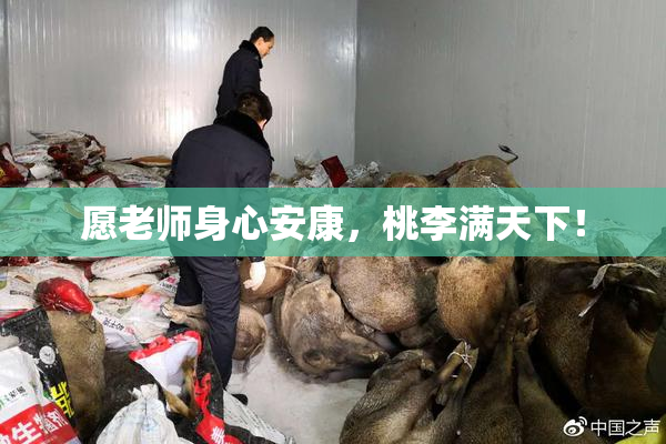 愿老师身心安康，桃李满天下！