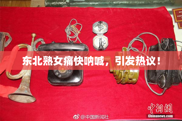 东北熟女痛快呐喊，引发热议！