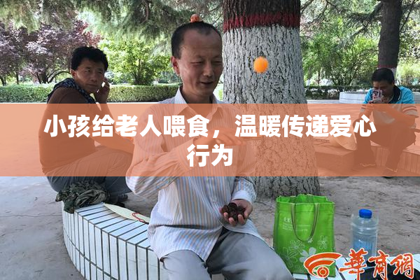 小孩给老人喂食，温暖传递爱心行为
