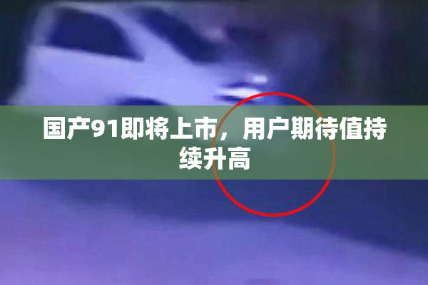 国产91即将上市，用户期待值持续升高