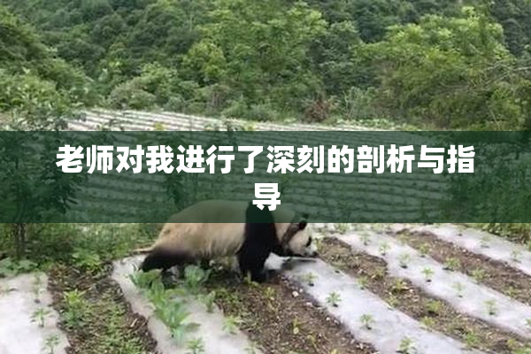 老师对我进行了深刻的剖析与指导