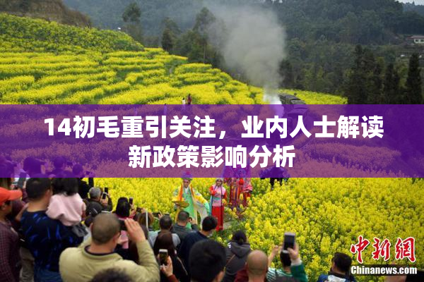 14初毛重引关注，业内人士解读新政策影响分析