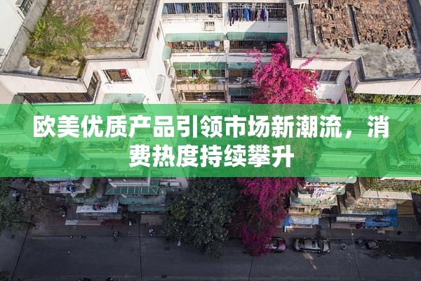 欧美优质产品引领市场新潮流，消费热度持续攀升