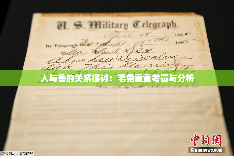 人与鲁的关系探讨：毛免重重考量与分析