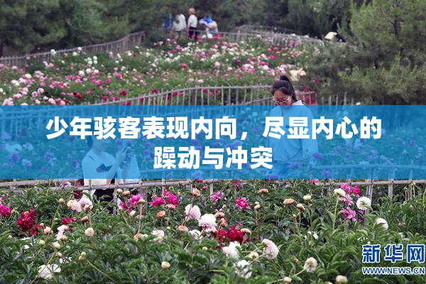 少年骇客表现内向，尽显内心的躁动与冲突