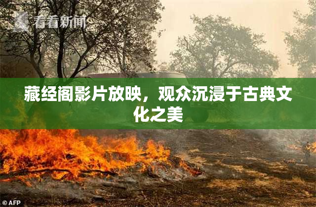 藏经阁影片放映，观众沉浸于古典文化之美
