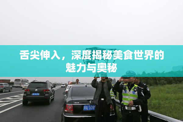 舌尖伸入，深度揭秘美食世界的魅力与奥秘