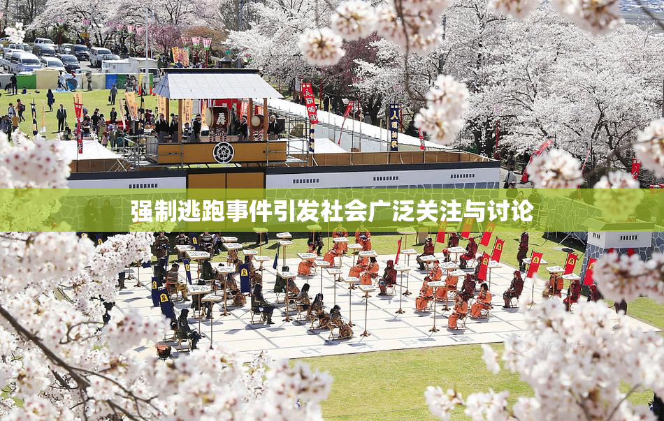 强制逃跑事件引发社会广泛关注与讨论