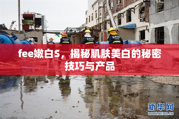 fee嫩白S，揭秘肌肤美白的秘密技巧与产品