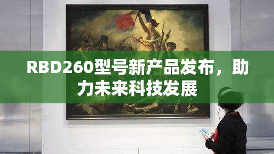 RBD260型号新产品发布，助力未来科技发展