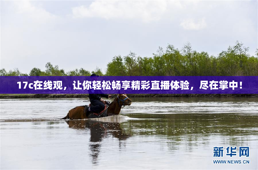 17c在线观，让你轻松畅享精彩直播体验，尽在掌中！