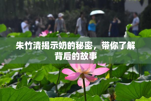 朱竹清揭示奶的秘密，带你了解背后的故事