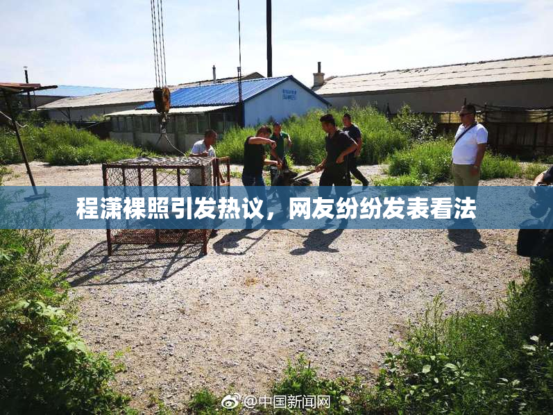 程潇裸照引发热议，网友纷纷发表看法