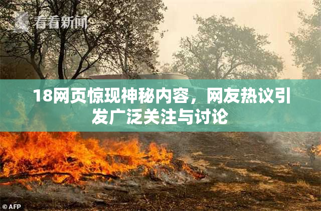 18网页惊现神秘内容，网友热议引发广泛关注与讨论