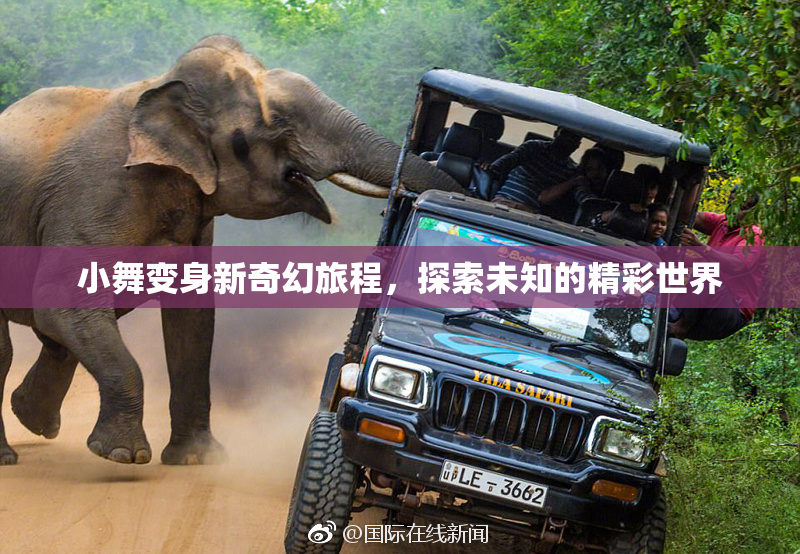 小舞变身新奇幻旅程，探索未知的精彩世界