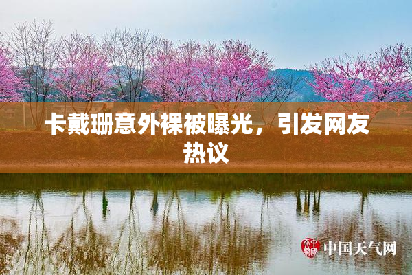 卡戴珊意外裸被曝光，引发网友热议