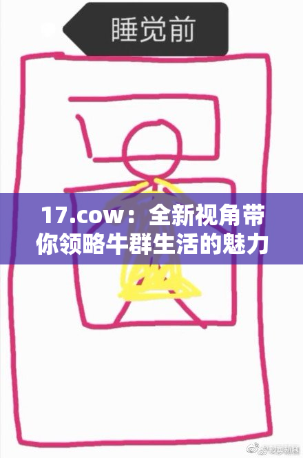 17.cow：全新视角带你领略牛群生活的魅力与乐趣