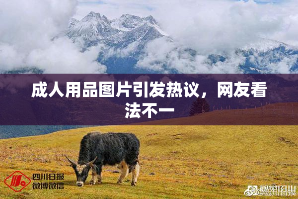 成人用品图片引发热议，网友看法不一