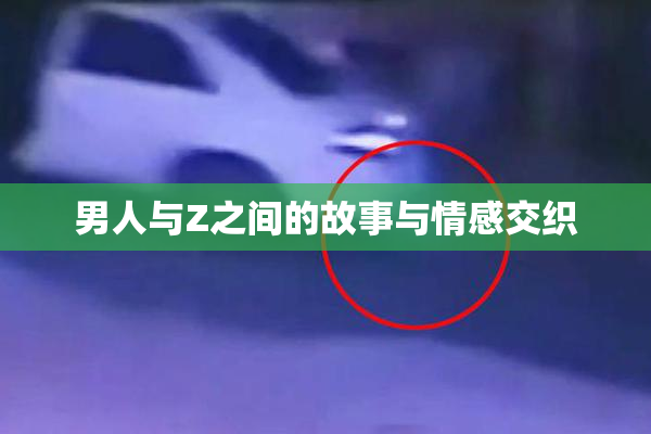男人与Z之间的故事与情感交织