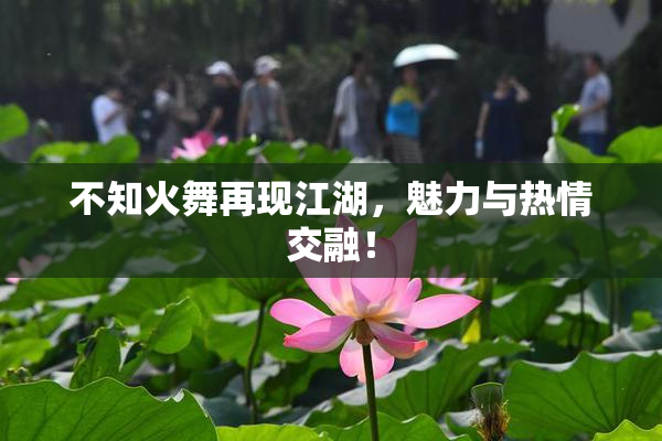 不知火舞再现江湖，魅力与热情交融！
