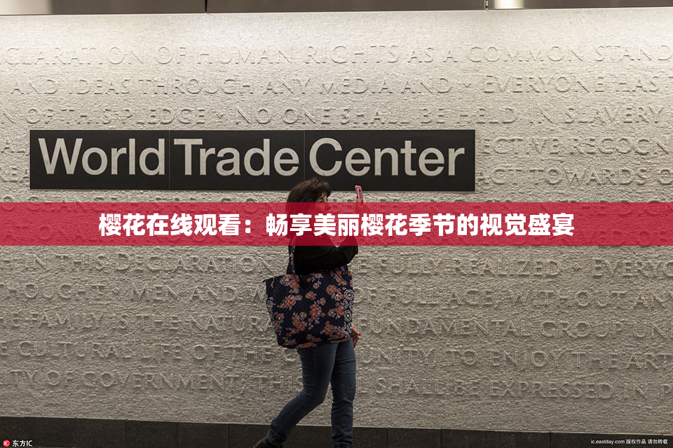 樱花在线观看：畅享美丽樱花季节的视觉盛宴