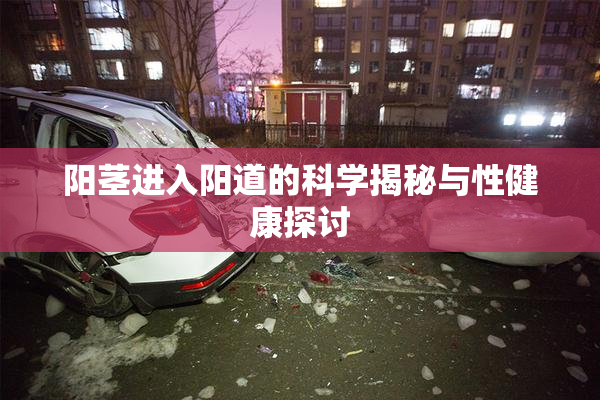 阳茎进入阳道的科学揭秘与性健康探讨