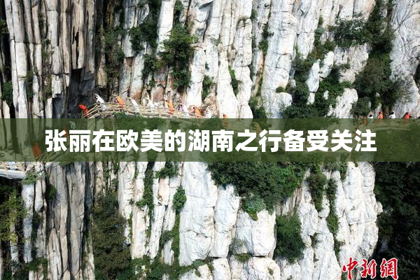 张丽在欧美的湖南之行备受关注