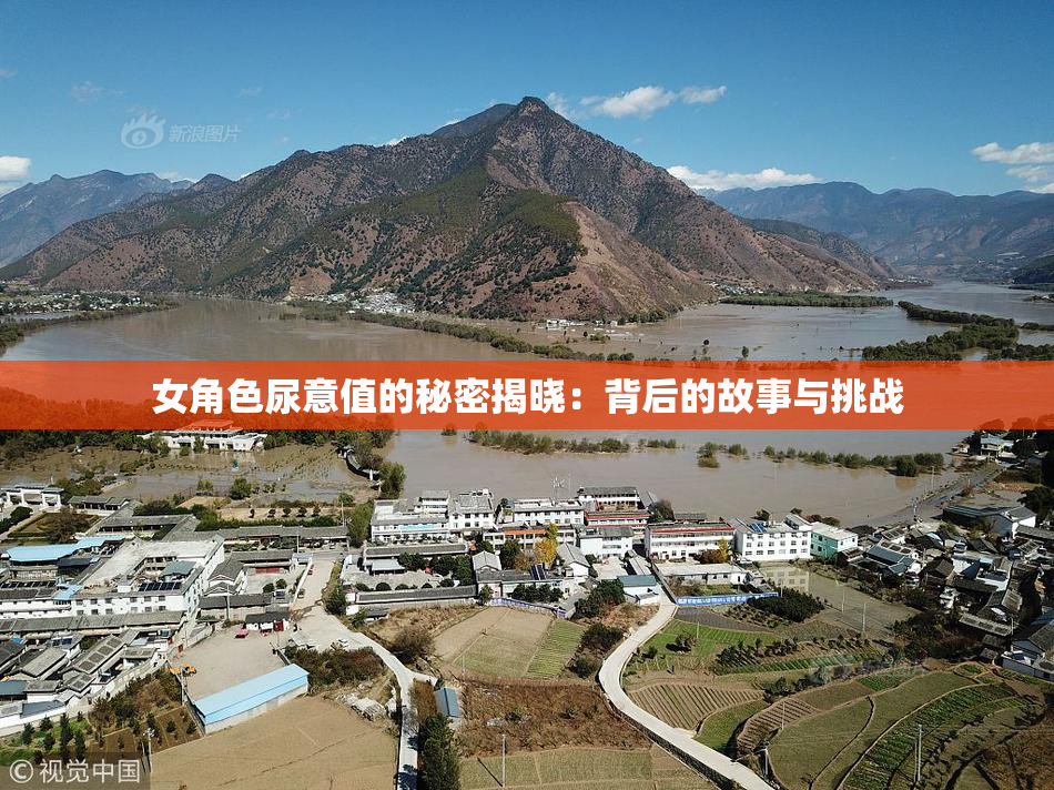 女角色尿意值的秘密揭晓：背后的故事与挑战